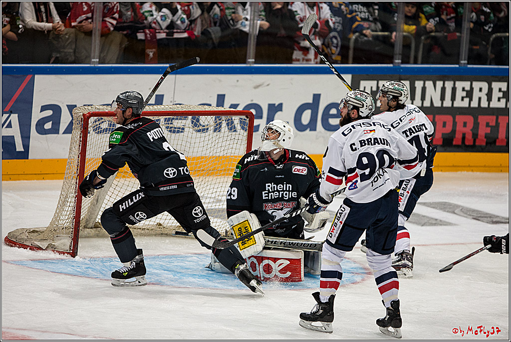 Koelner Haie - Eisbaeren Berlin, 13.11.2016